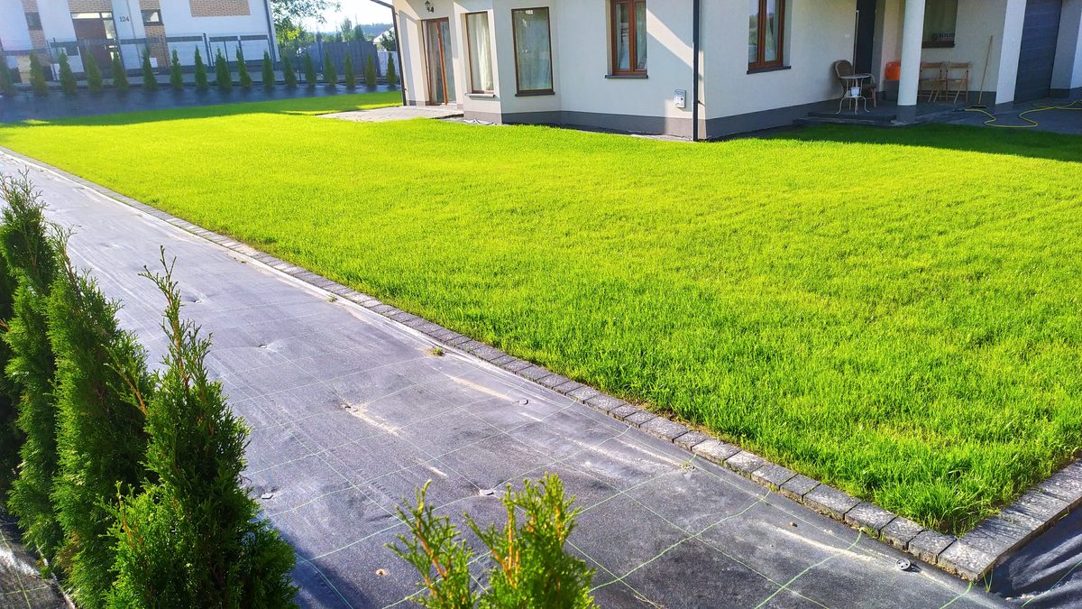 Trawnik z opaską oddzielającą rabatę przy domu