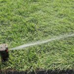 System automatycznego nawadniania