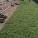 zakładanie trawnika z rolki