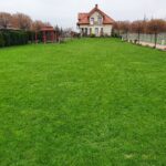 Aeracja trawnika, wertykulacja trawnika