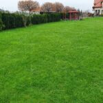 Pielęgnacja trawnika