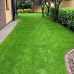 zakładanie trawnika z rolki