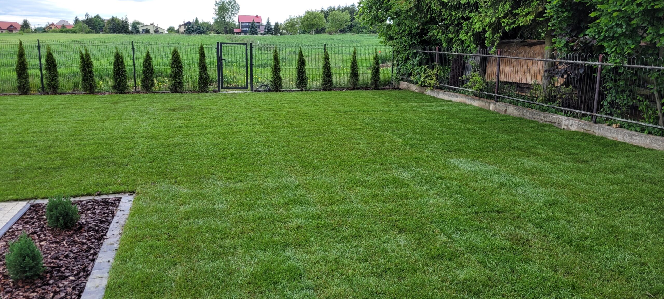 Pielęgnacja trawnika, wertykulacja, aeracja