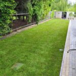 trawnik z rolki z systemem nawadniania