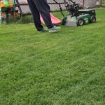 wertykulacja trawnika