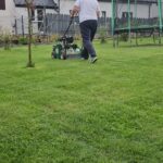 dosiew wgłębny trawnika