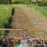 Usługi glebogryzarką separacyjną