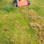ZieloneZielone.pl - Wertykulacja trawnika 2 20240304 084357