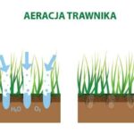 FB IMG 1700921838626 1